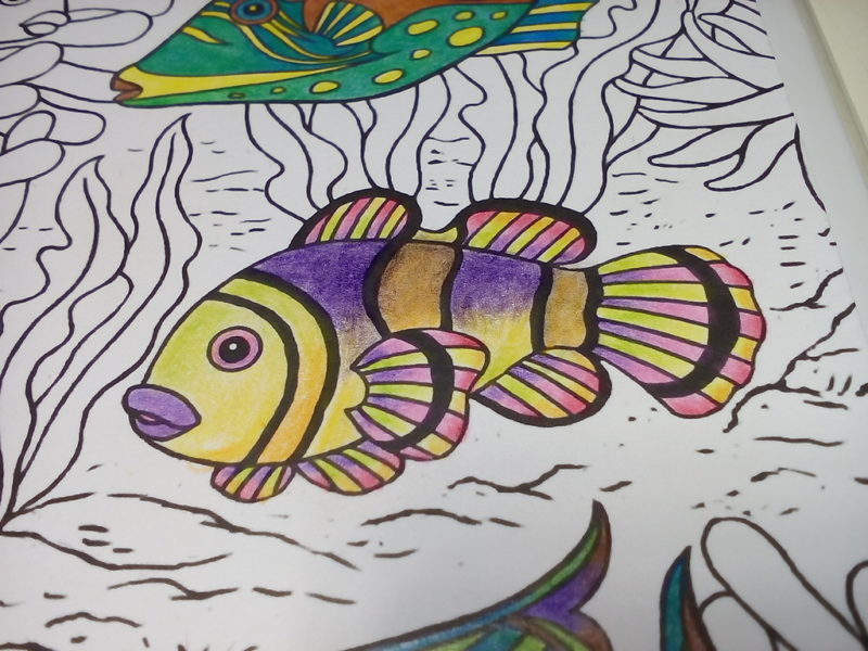 ダイソー 癒しの塗り絵マリンライフ